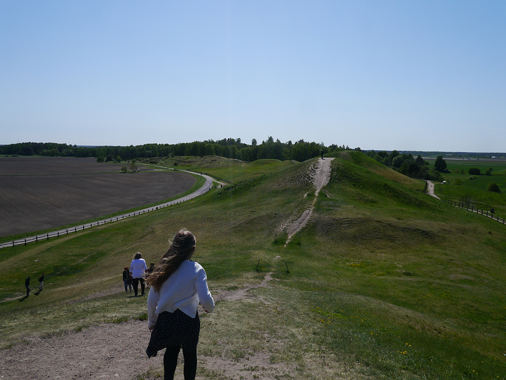 a group of people walking on a grassy hill