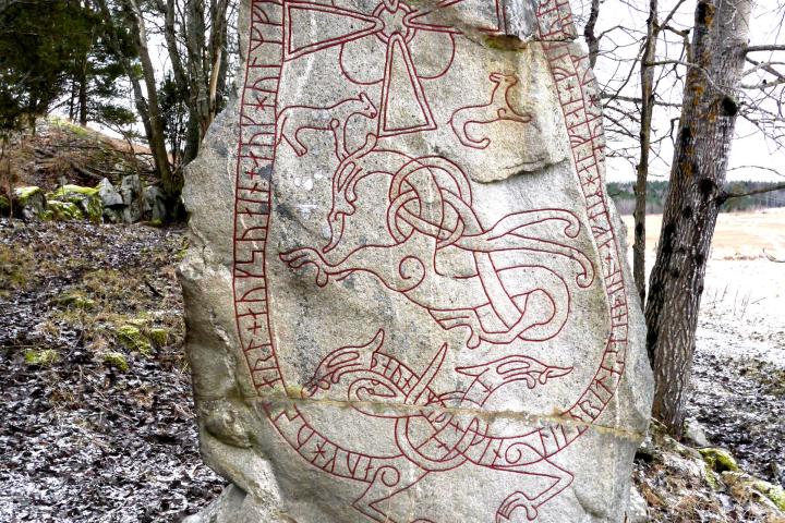 Private Iron Age 3h History tour from Stockholm Image 4