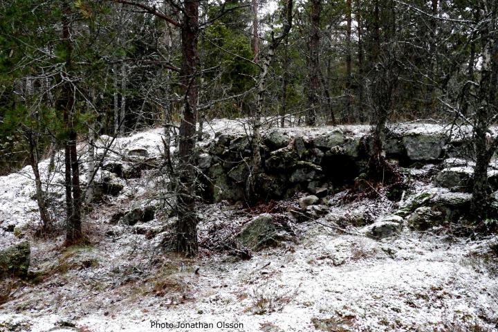 Private Iron Age 3h History tour from Stockholm Image 5