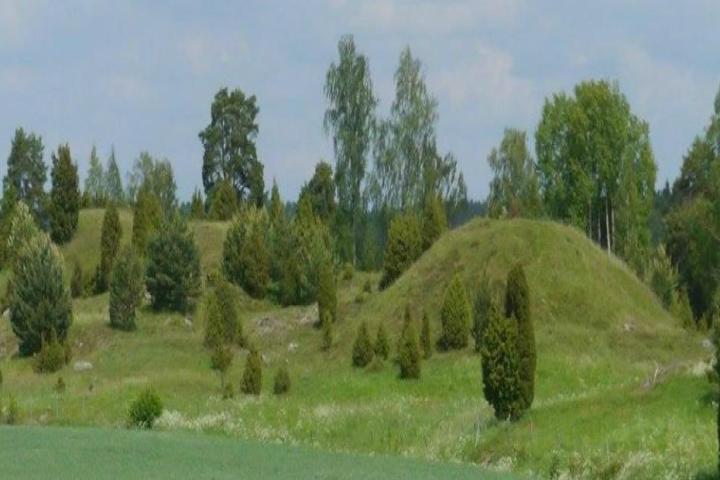 Private Iron Age 3h History tour from Stockholm Image 6