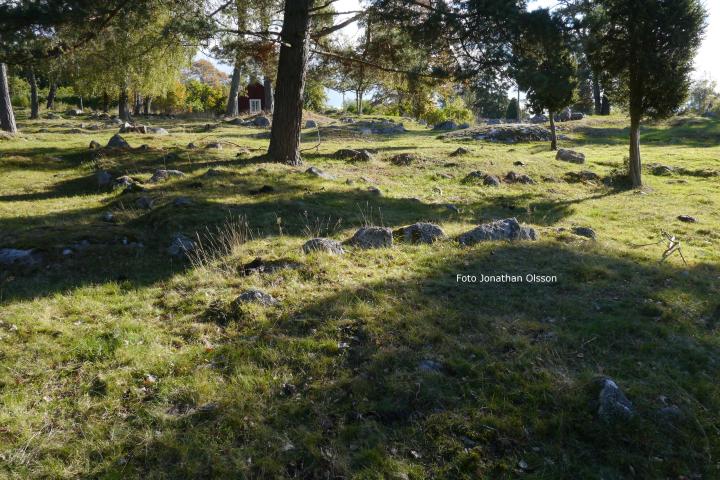 Private Iron Age 3h History tour from Stockholm Image 7