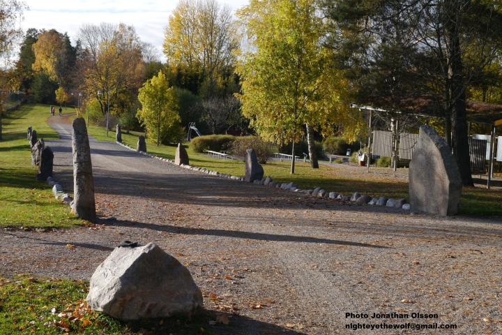 road lined with trees