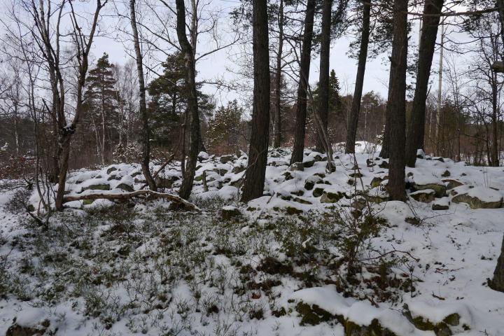 Public Bronze Age Tour Image 3