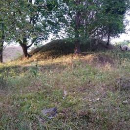 Public Åland Island 13h tour from Stockholm Image 1