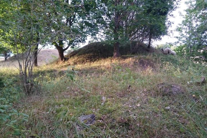 Public Åland Island 13h tour from Stockholm Image 3