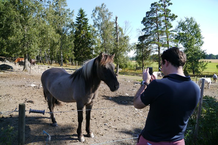 a person standing in front of a horse