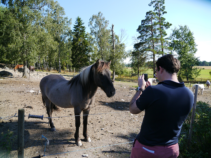 a person standing in front of a horse