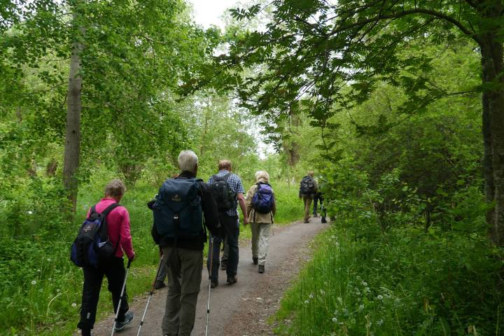 a group of people walking down a dirt road