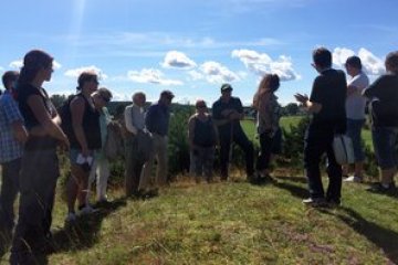 a group of people standing in the grass