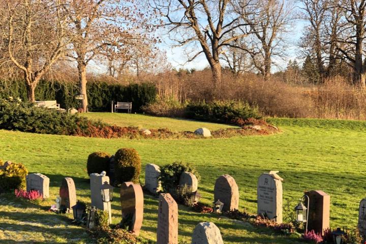 a group of people in a garden