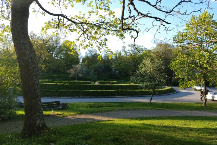 an empty park bench next to a tree