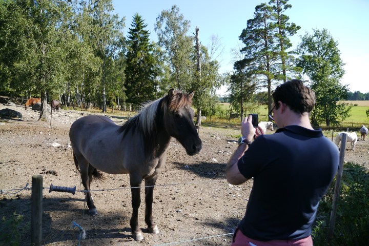 a person standing in front of a horse