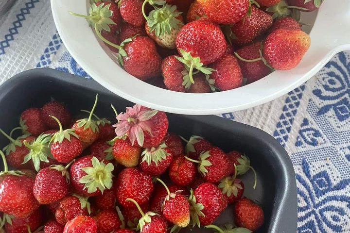 a bowl of fruit on a plate