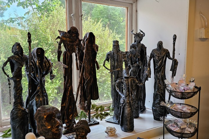 a tree next to a window