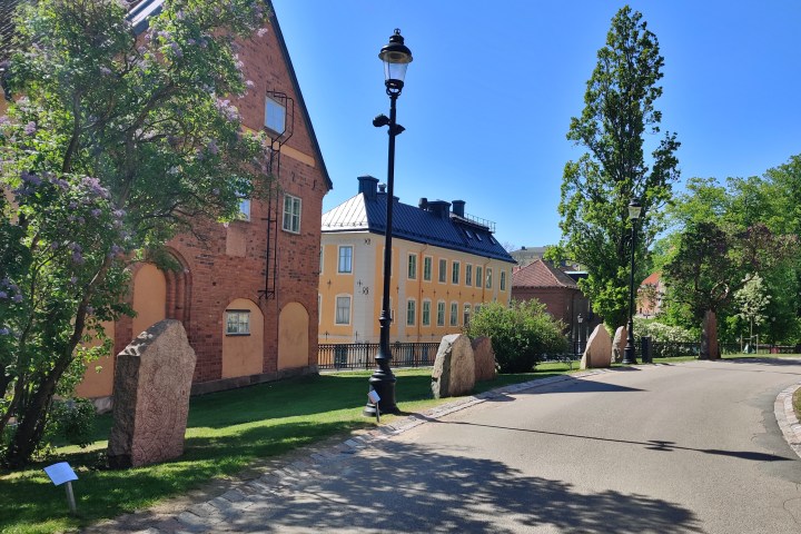 a tree in front of a brick building