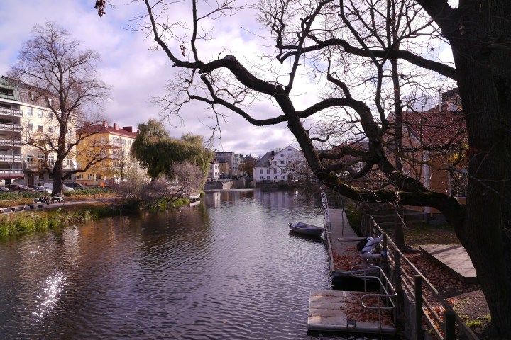 a bridge over a body of water surrounded by trees