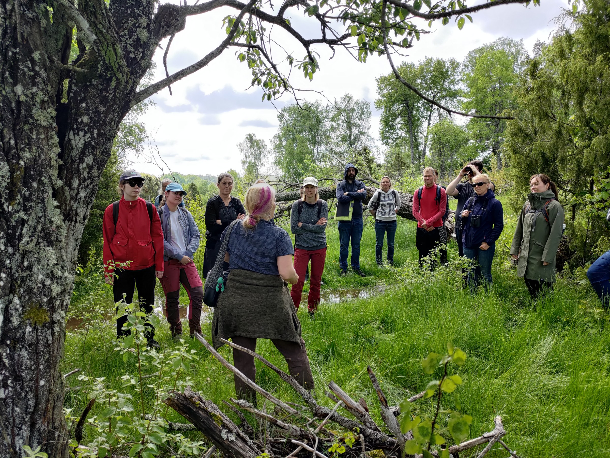 A group of people listens to a speaker in a lush, green outdoor setting.