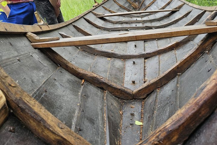People examining wooden interior of an old boat in a grassy area.